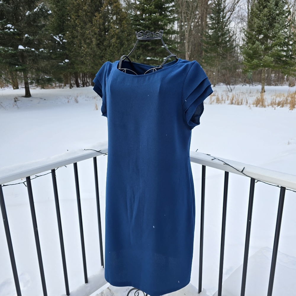 Sharagano short sleeved dress, size 14, EUC
